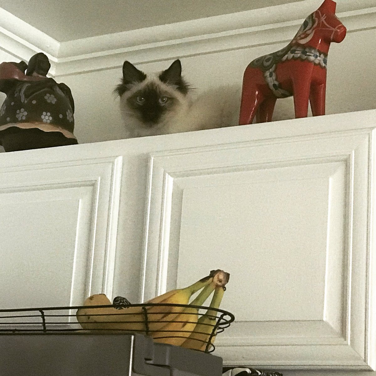 ZingingTeacher's tweet image. Sun Tzu says, “When the enemy occupies high ground, do not confront him.” The Art of War. #NorthTIER #teachingliterature