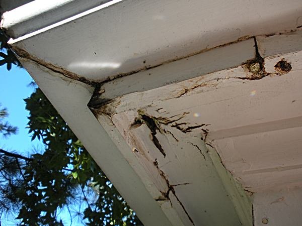 johngholum's tweet photo. Issue with your rain gutters? Tristate Roofing will perform a complimentary inspection to track down any sources of damage. We'll also provide you with a fair and accurate written estimate for any gutter repair work. #TristateRoofing  #Tacoma #WA https://t.co/GPrTE1l1HL