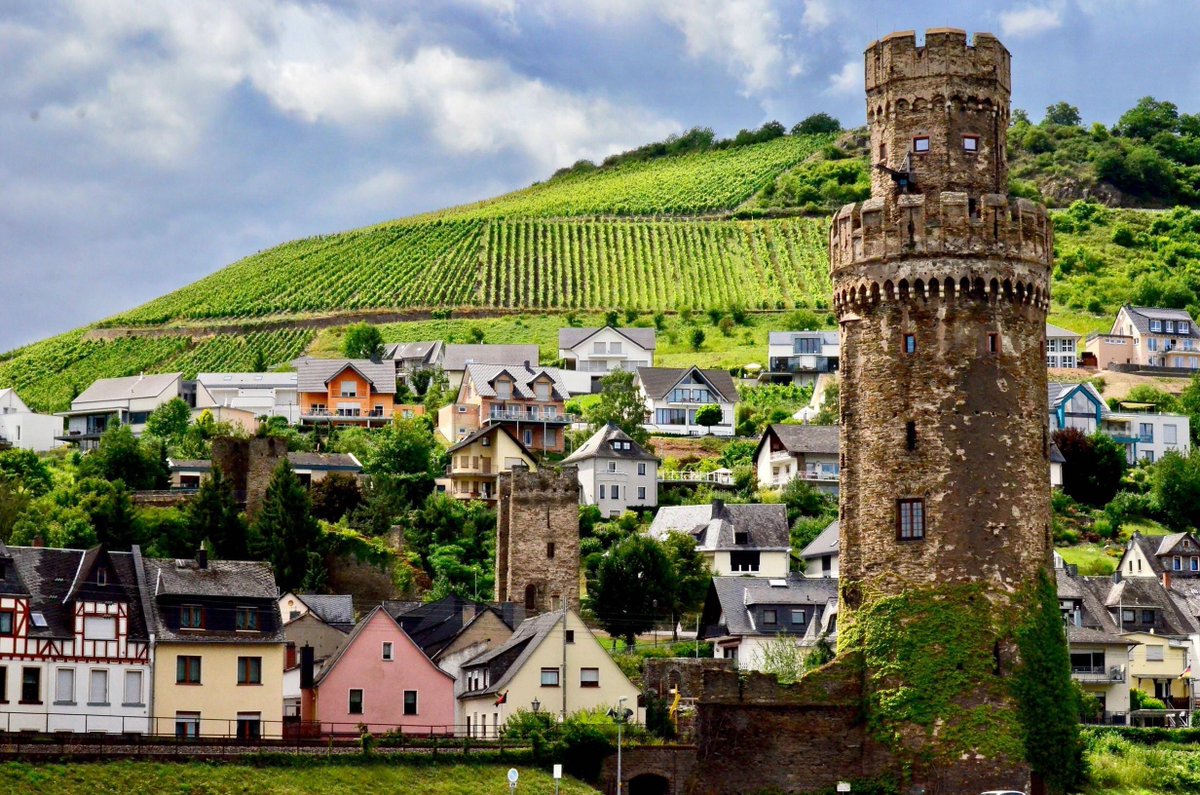 hoteleia's tweet photo. #Trittenheim, #Germany https://t.co/dbQ2CsFKLf