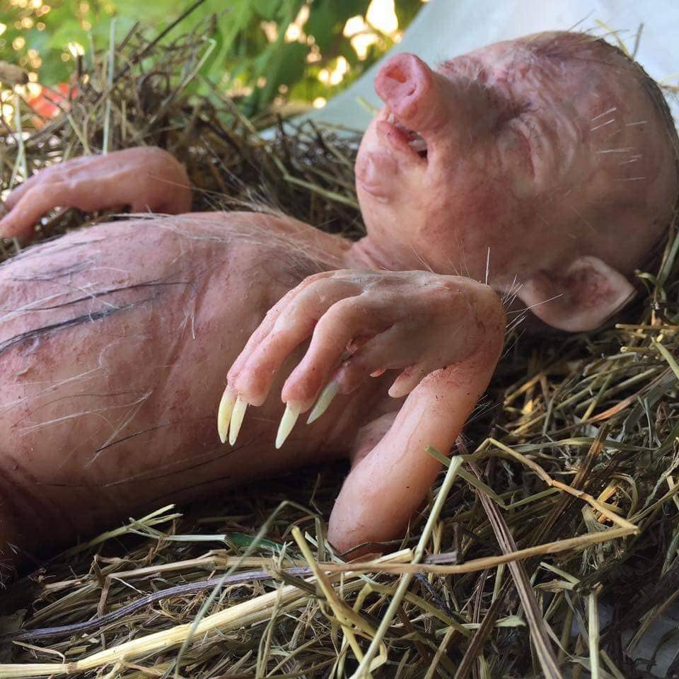 IG:pumladubaduba tweet media