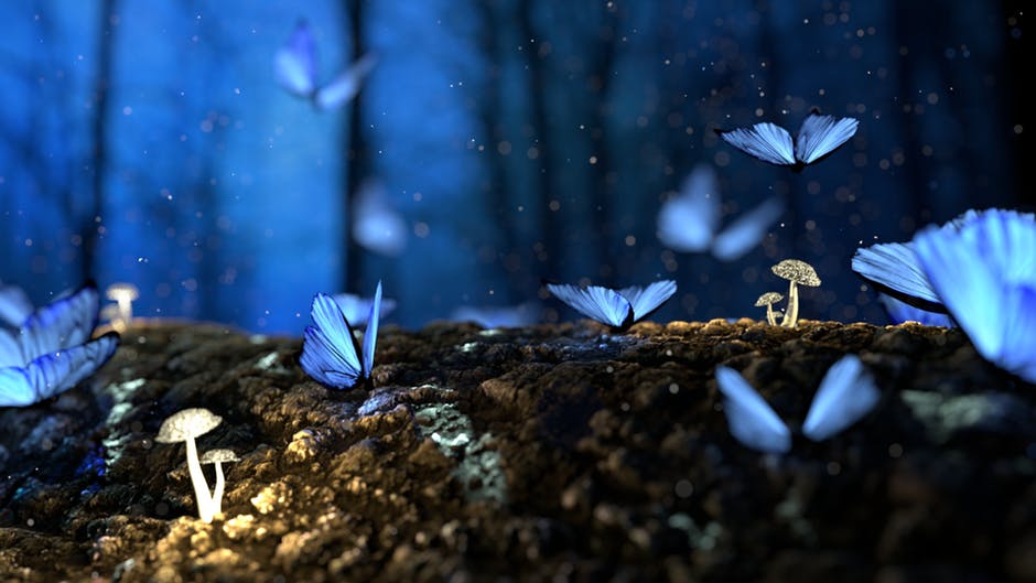 RadiusDrama's tweet photo. Word of the week - #petrichor, the smell of the earth after rain, from the Greek for 'stone' and the 'fluid that flows in the veins of the gods'. How cool is that? #raining #RDSplaycomp https://t.co/eqLBUlVwEo