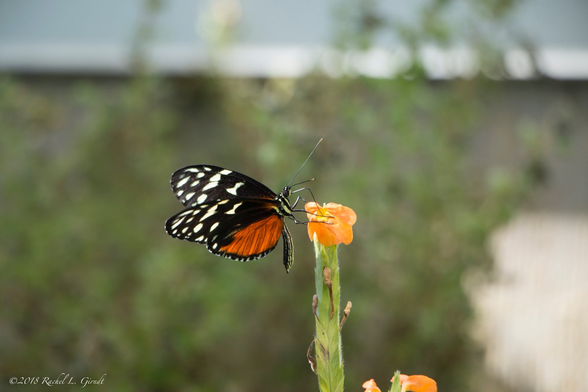 PatchWorkPho tweet picture