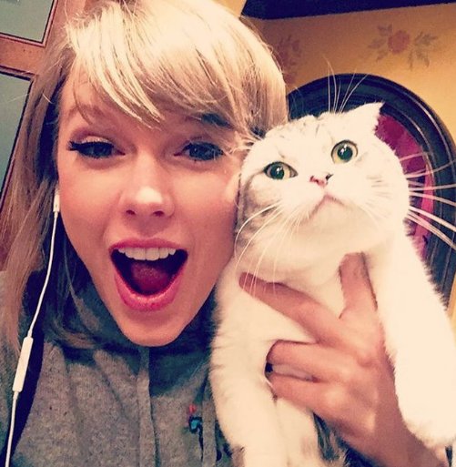 Feedbac's tweet photo. @taylorswift13 és una amant dels gats: formarà part del repartiment de CATS i ha creat una marca inspirada en els seus felins🐱🐱🐱➡ https://t.co/h6jDOqBuQy https://t.co/wW6bk3aLzH