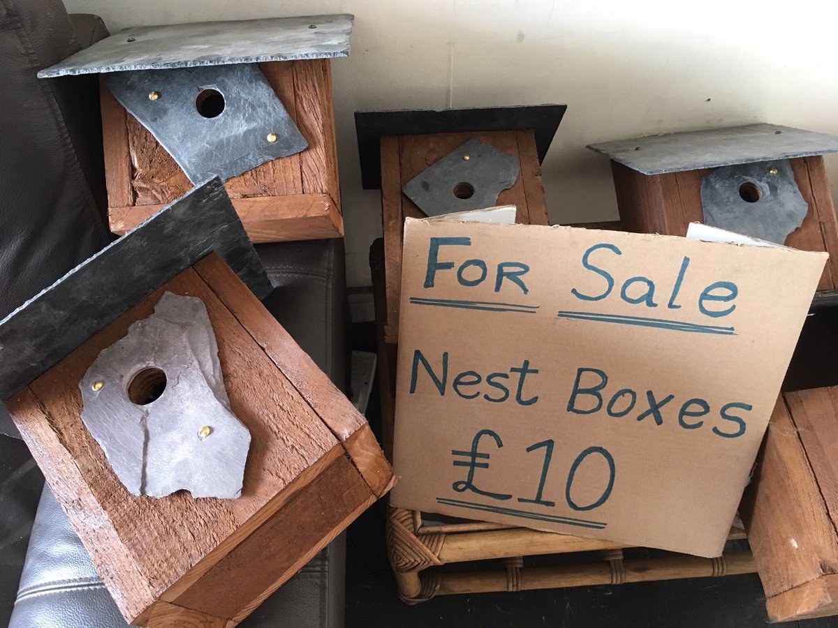 mckellar_ali's tweet photo. Just strung some birds (on windowsill) whilst sitting on Cousin Paul's garage sofa waiting for my car.  Yay, car passed its MOT!  Cousin Paul is selling beautiful bird boxes he's made &amp; Michelle is admiring Dave's seagull. Excellent car &amp; customer care here at Marcella Motors. https://t.co/Go1j45C6Hl