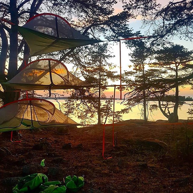 bambootattooOTM's tweet image. Having it in the wilderness with the lads 💚
#treetent #3