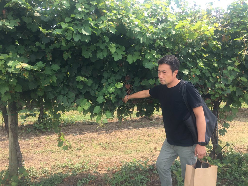 TShimoda3's tweet photo. Balsamic Vinegar 
#Italy #modena #balsamicvinegar #イタリア #モデナ #バルサミコ酢 https://t.co/Sgdygw8ES2