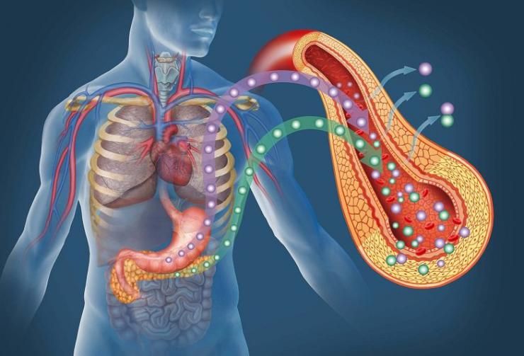 aptncofenat's tweet photo. ¿Conoces cuáles son las principales #funciones de la #insulina? Se trata de una #hormona fundamental e imprescindible para nuestro #cuerpo. Te descubrimos por qué. #Salud #TerapiasNaturales
https://t.co/27yb3iBP0u https://t.co/N2ob9uXnAO