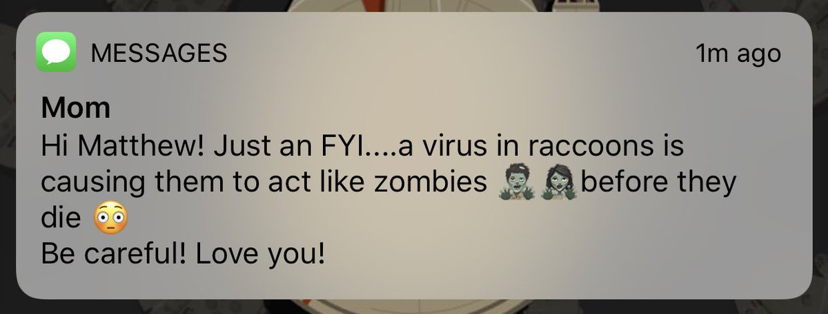 moopliss's tweet photo. guess i’ll be battling the zombie coons out in central park 
#CheckThatOffTheList #ThanksMom https://t.co/v9lTFz6C1g