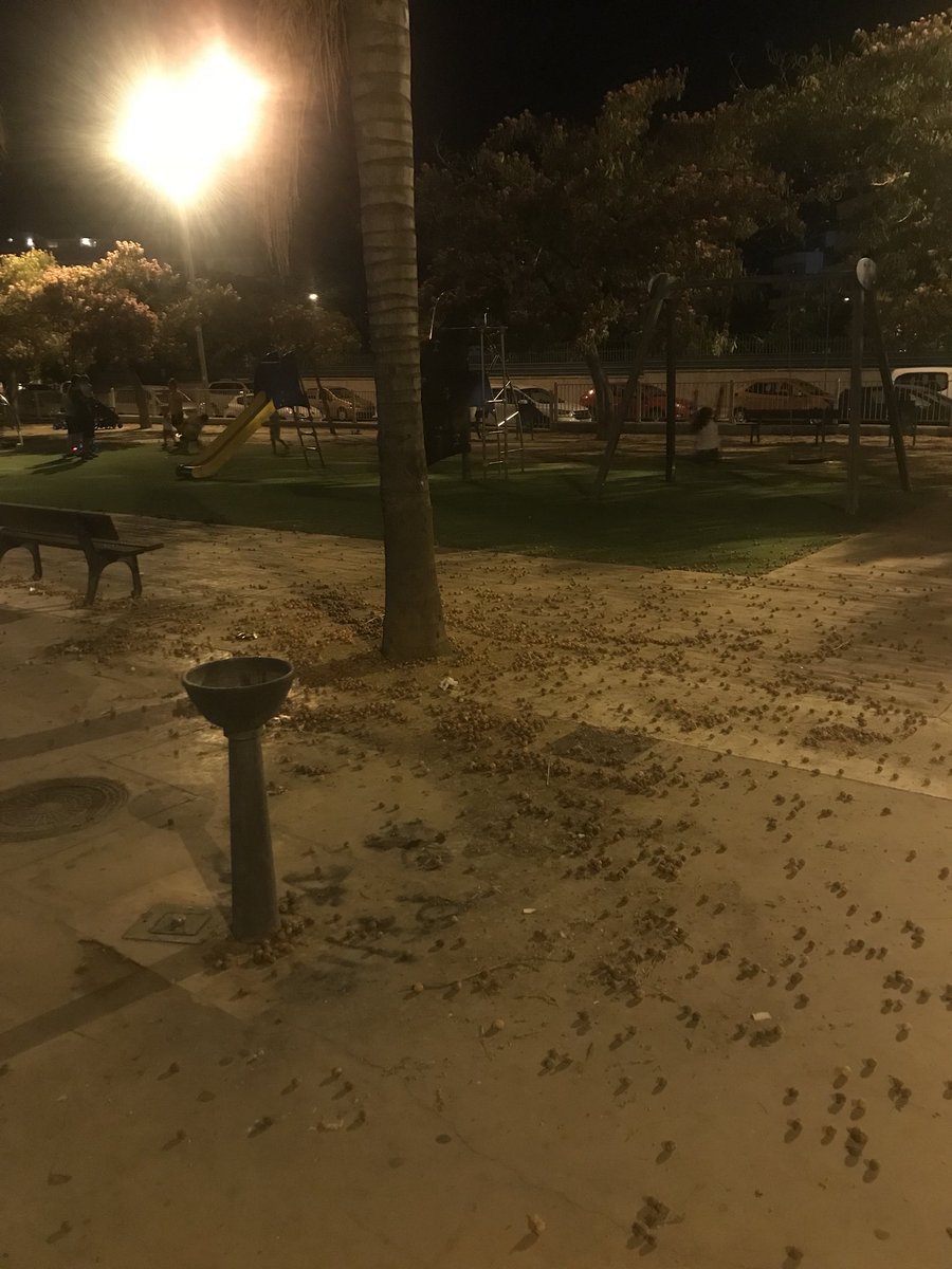 Una vergüenza la limpieza en el parque junto a la iglesia de San Antonio <a href="/AytoVLZ/">Ayto Vélez-Málaga</a>