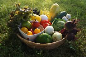 TchodieFidel's tweet photo. @senamekoffi @WoegnaY @FrDlp Trouvez des #légumesBiologiques plus proche de chez soit......!Manger naturel!!!bientôt avec @urbanattic_ grâce à @woelab https://t.co/En0DMvM5rC
