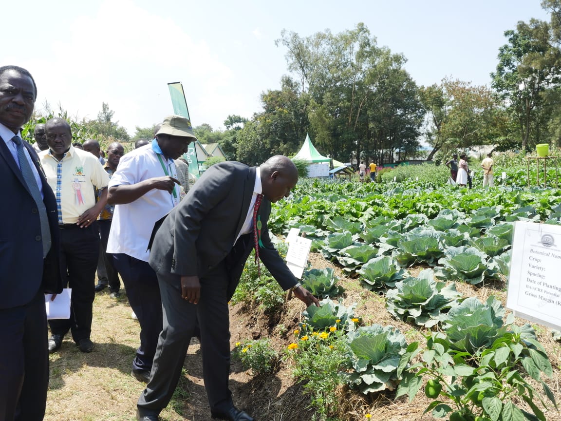 Hon_Kiunjuri's tweet photo. The Kenya Agriculture Insurance and Risk Management Program #KAIP, is a crop insurance initiative that will manage climate related risks for farmers by compensating them in the event of crop loss. https://t.co/XIkhbVUGgO