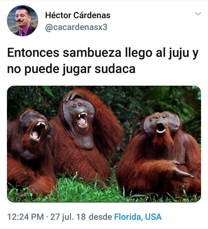 rafitagomez20's tweet photo. Esos Hinchas Del Cali JAJAJA https://t.co/2JLlrtRjJ8
