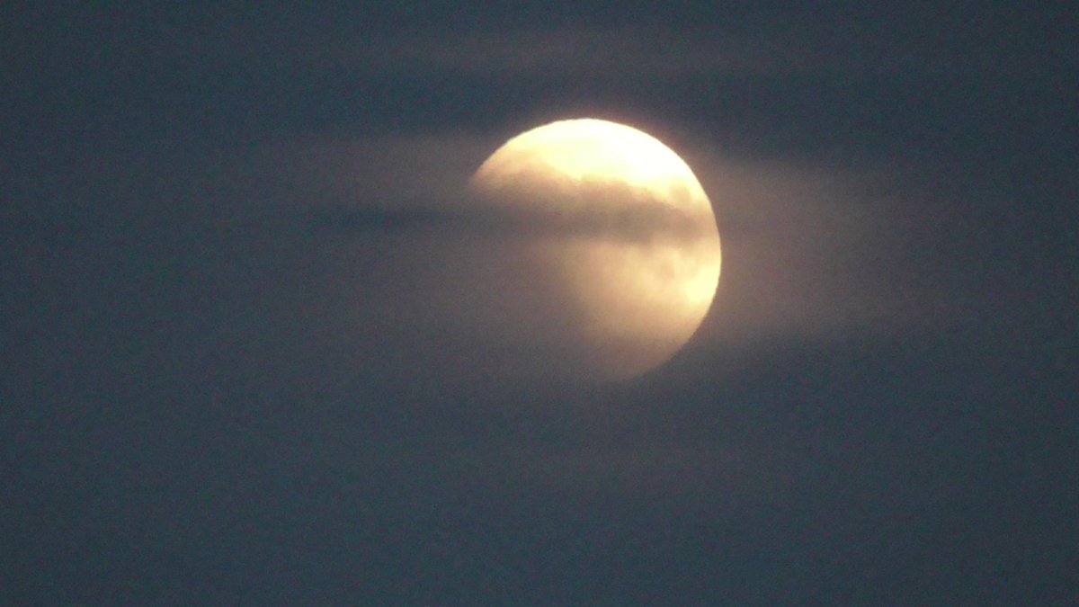 человек в темноте. поле ночью. девушка и ночь. поле силуэт. девушка в поле ночью.