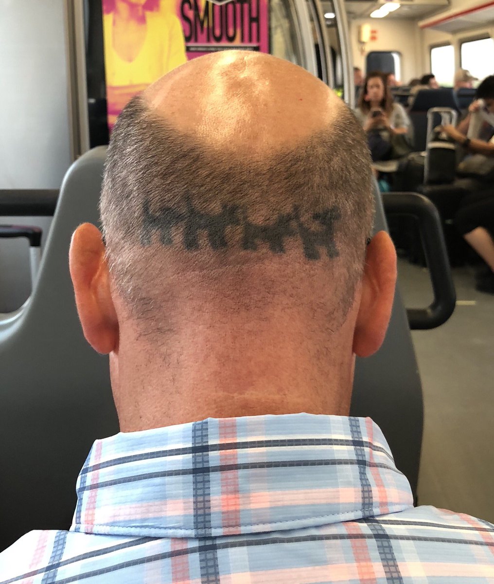 Welp, the gangs all here! 🐕🐕🐕🐕