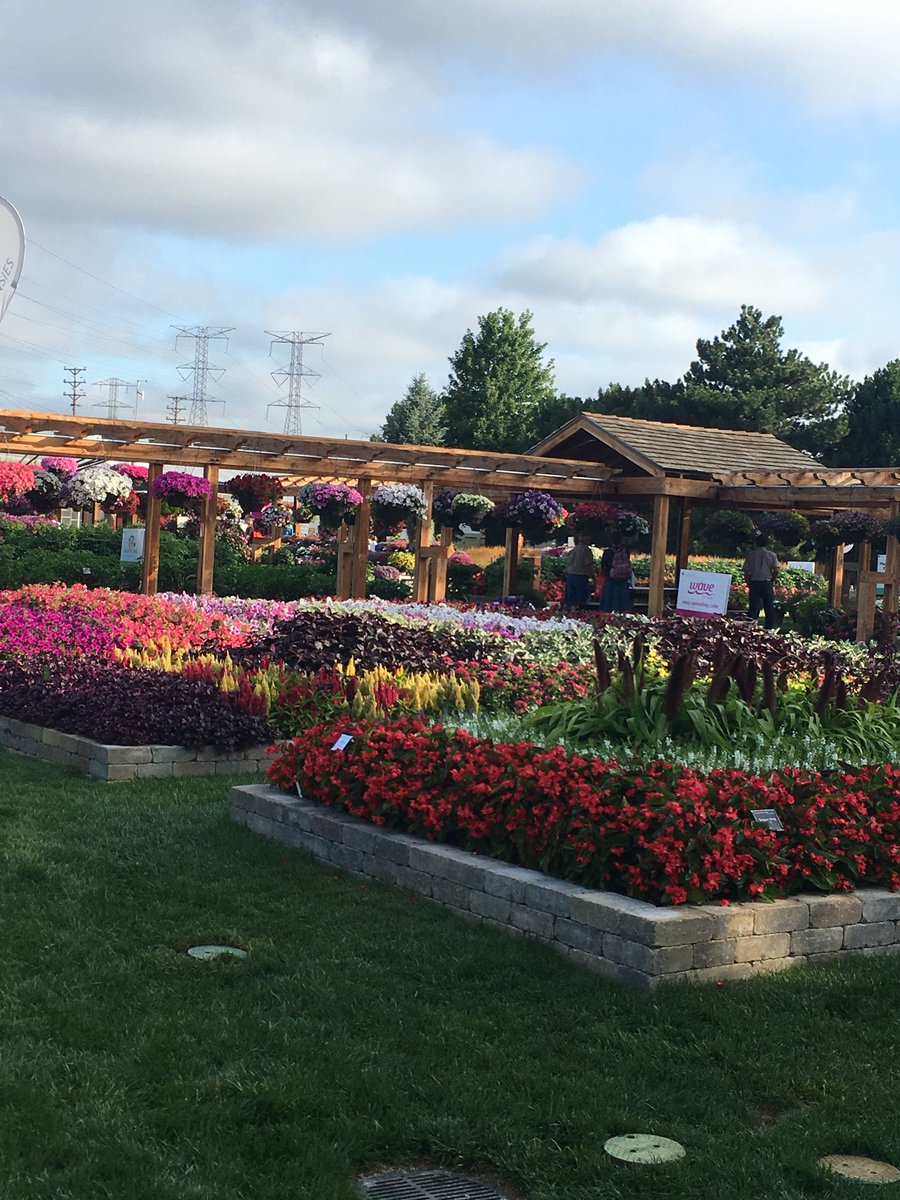 BallColorLink's tweet image. A glorious day with our customers...@BallSeedGardens