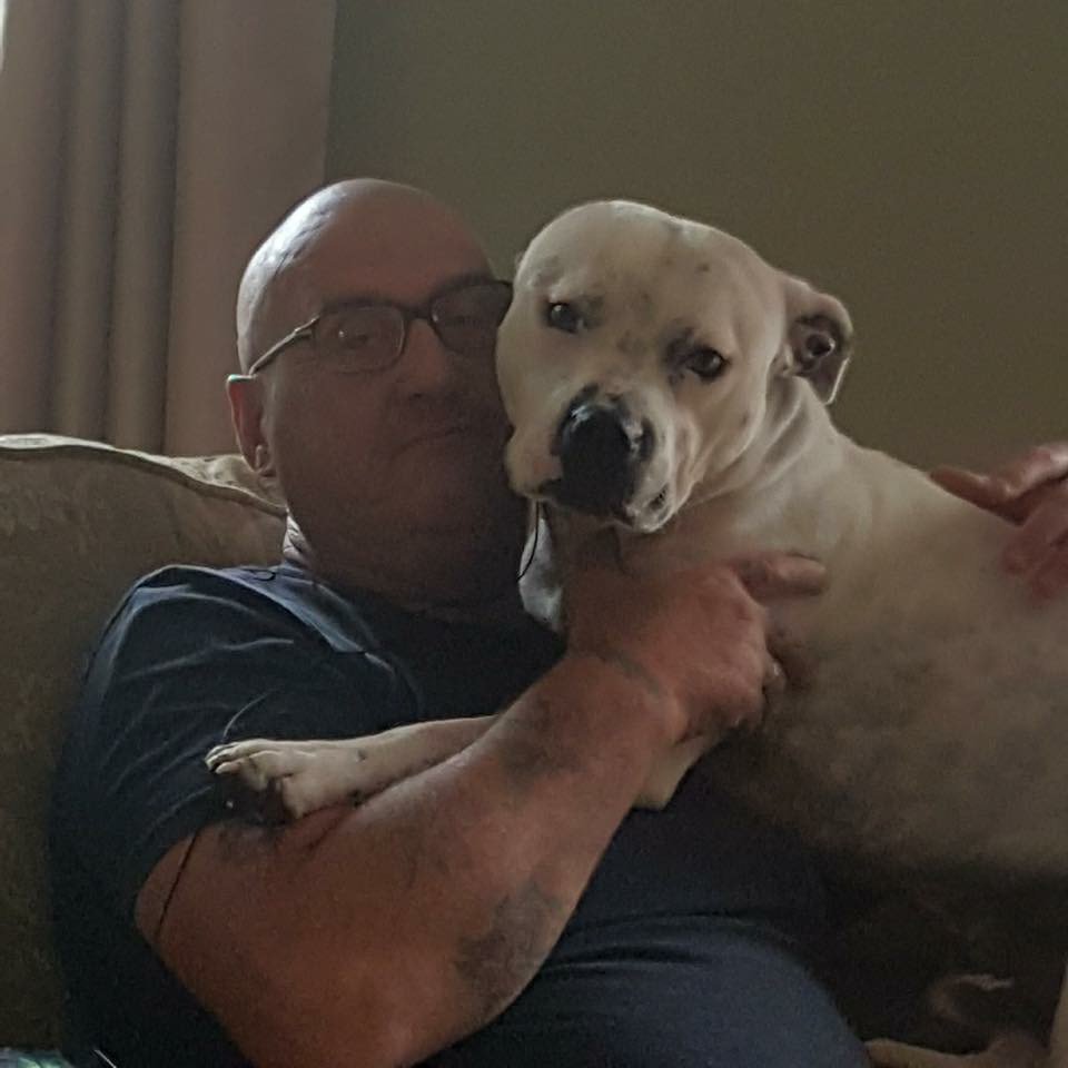 Find_Kemo's tweet photo. @FINDMISSINGDOGS @DelphiEllis @Debbie18124912 Please keep looking for him on #FindKemoFriday and one day he will come home. Keep up the pressure they will slip up π€β€οΈ https://t.co/qT8oDemjO7