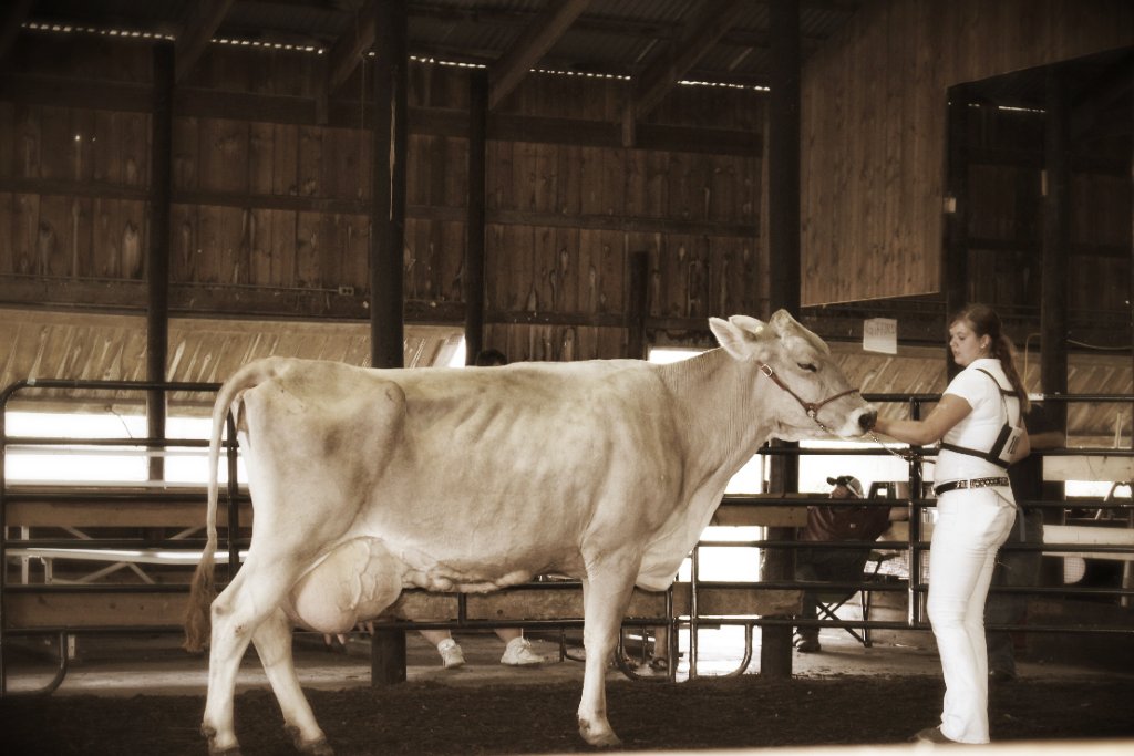 OSUEButlerCo's tweet image. The Grand Showman of Showmen contest for Jr. Fair members will begin at 7:30 pm today! Don’t miss it! #gettothebcfair #ohiofairs