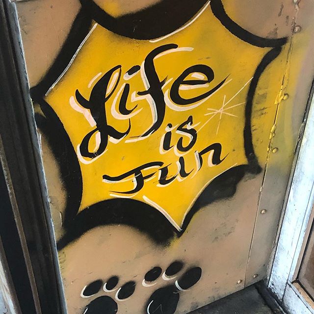 weischoice's tweet photo. Not convinced #newyork #depressionhumor #sarcasm #woof https://t.co/ynsE0ROGBo