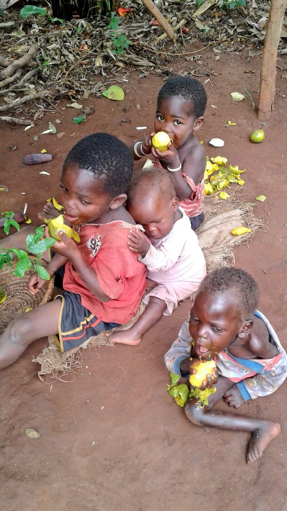 GodfreyNanz1's tweet photo. In the Community i live exitss a child headed Familly
Abdul Katongole the one in red narrates a storry where by his 7 years bro ahmed is mulnourished due to poor feeding their mom passed on ever since their dad comes once a week when drunk.
#TheyNeedEducation.. Lets fight. https://t.co/HmhCJiokAG