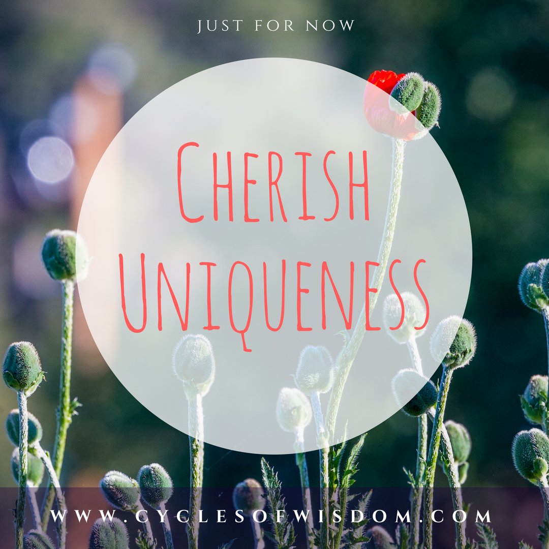 cyclesofwisdom's tweet photo. Happy #fullmoon / #eclipse in #Aquarius! Cherish uniqueness. Express your particular genius. Open to the genius of others. For more about working with lunar cycles, check out: https://t.co/QJqFgFWnh1 #moonmagic #cycleliteracy #lunarphases #followthemoon https://t.co/Z6Xg4Nzmww