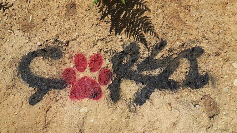 Hiçbir Hayvan Nankör Olmadı İnsan Kadar! #çArşı 

#HayvanaŞiddeteHapis