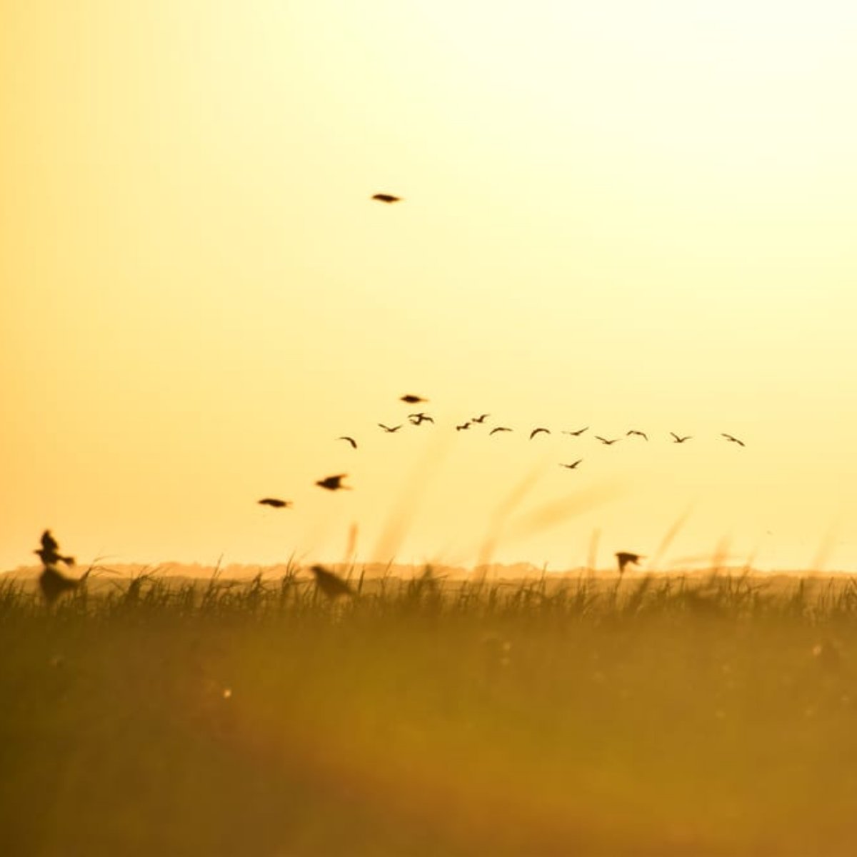 Anahuac RV Park (AnahuacRVParkTX) Twitter