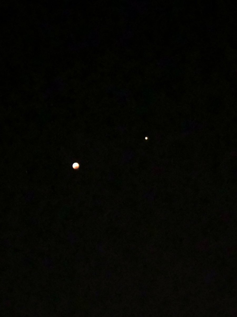 RevengeOfTheMoo's tweet photo. Total eclipse from my driveway. iPhone X. Not bad #maximumZoom https://t.co/hCm7Vn1sO5