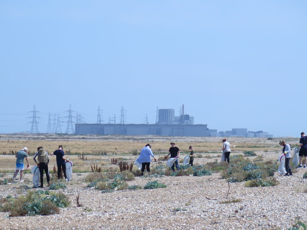 susanjcarey's tweet photo. Out today with @SurreyACF on a beachclean between Lydd and Dungeness.  We had quite a haul including much plastic netting and rope. Thanks to the cadets and to Giles Barnard of @fstonehythedc #KeepKentClean #PickMeUpBeforeYouGoGo https://t.co/Pr10i4nug4