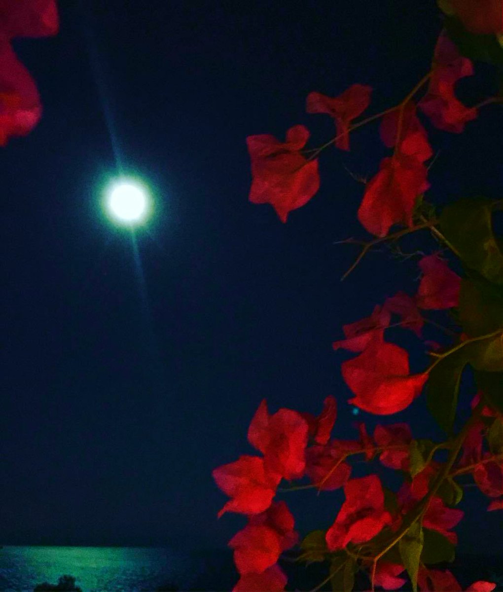 IasmosCafeBar's tweet photo. #FullMoon #MoonPhase #IasmosCafeBar #SummerNights https://t.co/Oo3I6B1aXa