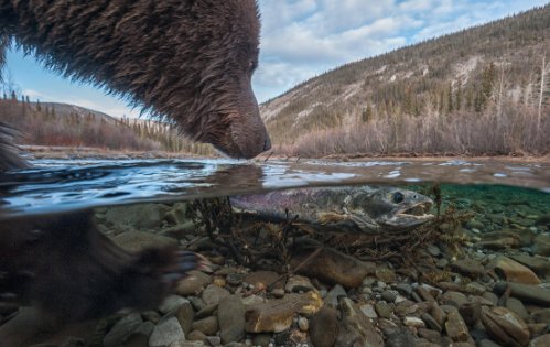 investingLive_'s tweet photo. That feeling when you’re bearish and see an easy short https://t.co/xr2Y5ervEh