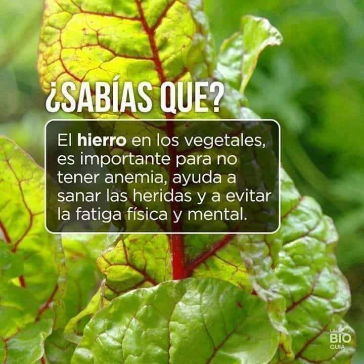 NetthieQ's tweet photo. Visita nuestra página
https://t.co/5mSxl4KaOU
#cuidatusalud #pinkforwoman #nonigia #natural #fitgirl #fitboy #EclipseLunar #27Jul https://t.co/eLcmDNfEHU