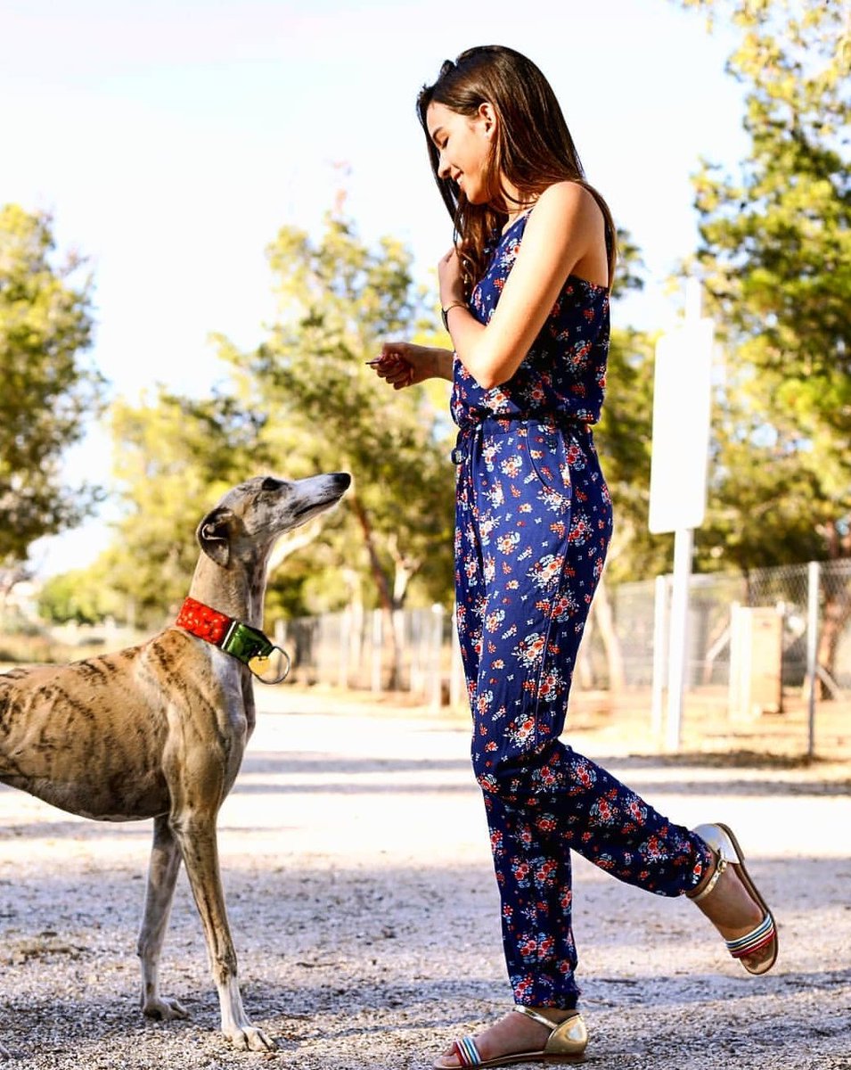 MariaQMCJ3's tweet photo. LOVE 💙 Galgo Español - Spanish Greyhound.....esta noche la Luna se hace roja, espero vuestras fotos?
Outfit con mono #blueseven y Sandalias Piel Mirror Champagne de @paolashoesTV 🌐
#marilovers #merriers #lovemediterraneo #fashionmodels #modateen #paolarules #paolashoes https://t.co/M1n7IRF3Dn