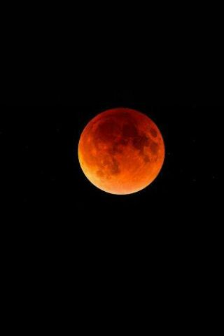 Goldcube4's tweet image. 