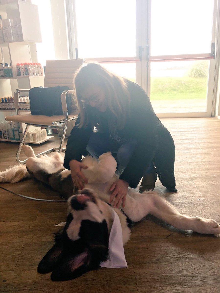 BCWUruguay's tweet image. De las imágenes más tiernas del primer día de #FeriaMUY! Imperdible! @MarcaUruguay @KibonAvanza @AliciaMontesano