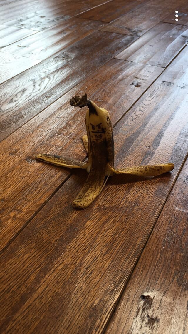 hannahbentzel's tweet photo. He must have seen me throw his friend #angrybanana #canttripme https://t.co/pHGewEBwV2