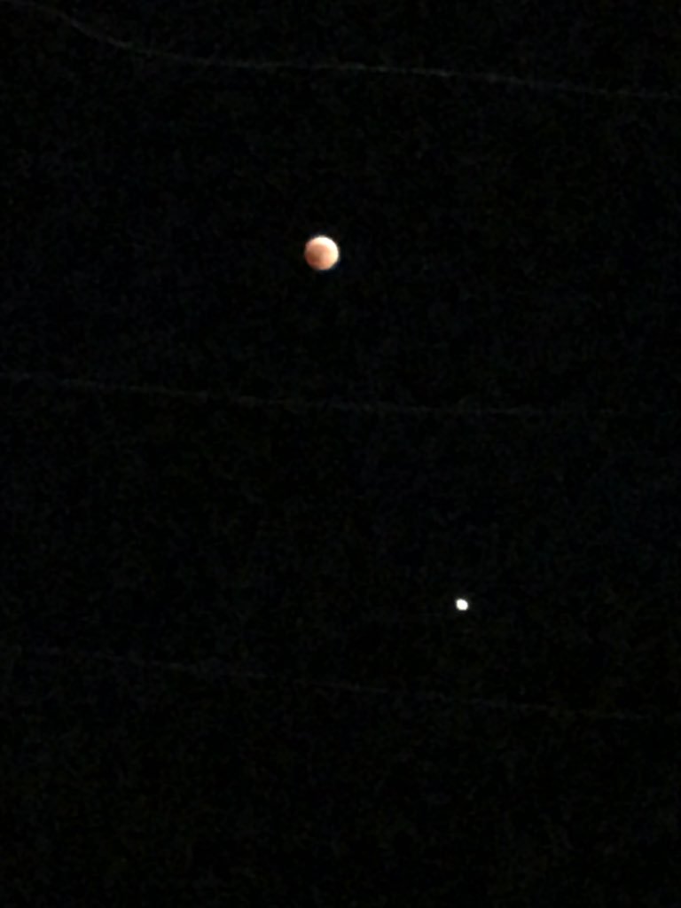 p0xyy's tweet image. 