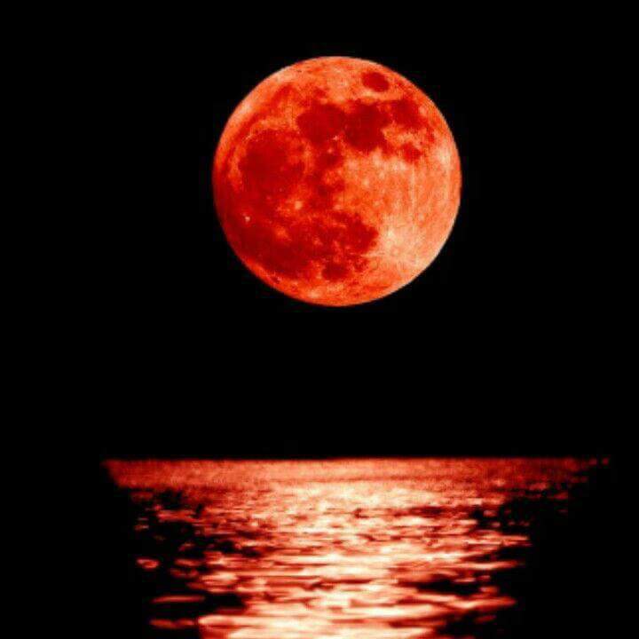 Песни красная луна. Красная Луна. Кровавая Луна. Красно оранжевая Луна. Ночь кровавой Луны.