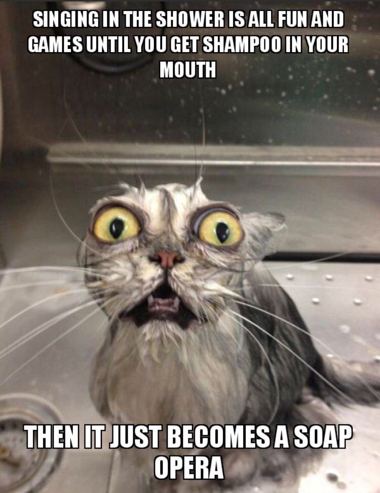 rotr_calgary's tweet image. #choruslife #chorushumor #fridayfun #barbershopyoubet #rhythmoftherockies