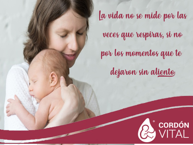 CordonVital's tweet photo. 🎆🎈Celebra cada momento, y así habrán más momentos que celebrar.🎈🎆 https://t.co/B4wh6nA6Bg