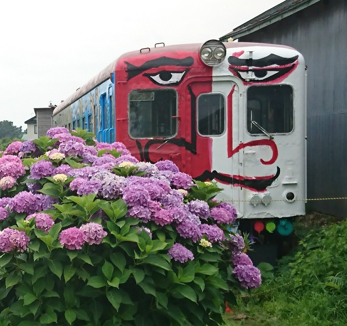 はなこ ペンタスの花束を おはようございます 今年最後の紫陽花 慎吾列車 に会いに行ったのはちょうど1年前でした 嘉瀬駅のピンクの紫陽花が綺麗で 今でもスマホの待ち受けにしています 私の 世界に一つだけの花 Smap 新しい地図 夜の