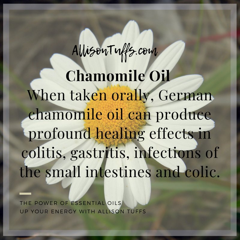 The #Power of #EssentialOils - #ChamomileOil  Blends Well With: floral oils such as geranium oil, lavender oil, rose oil, ylang-ylang oil, and citrus oils bergamot oil, lemon oil, and neroli oil; also, clary sage oil, and patchouli oil. #UpYourEnergy