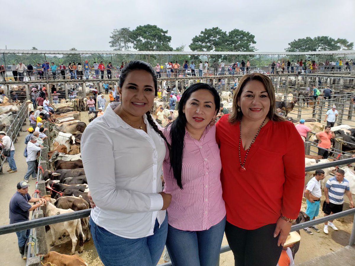 ViveVinces's tweet photo. ✔Hoy en cumplimos agenda de territorio, como parte de la Com.  @soberanialimen recibimos a los representantes del sector agropecuario,  productores y exportadores de banano #MayiEsTuVoz @Lenin @marialevicuna @AspiCarmen https://t.co/OaaqoWCXBE
