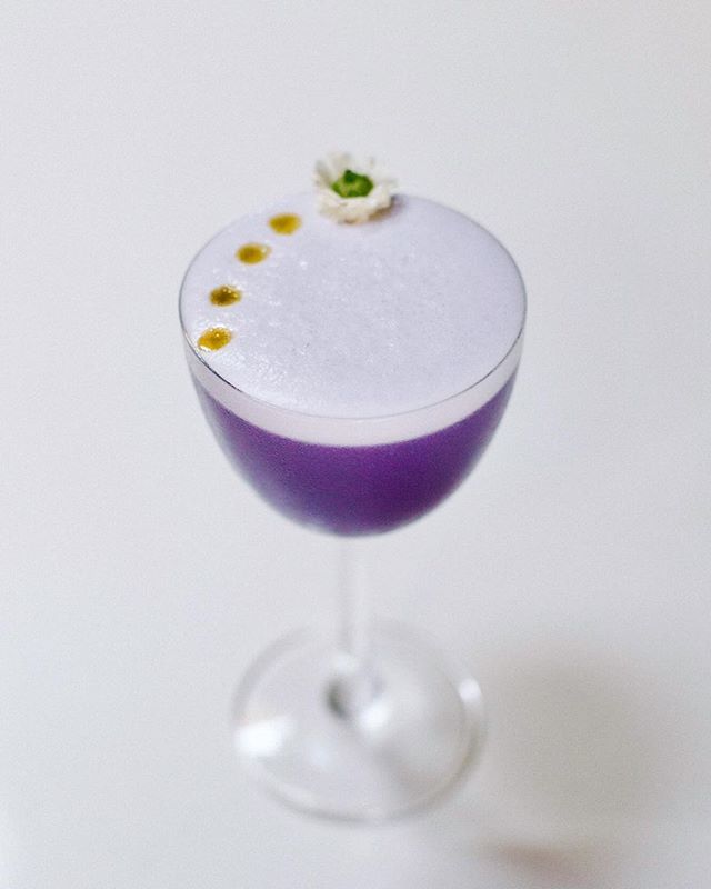 **Purple Rain** 💜  as seen in this month’s <a href="/bonappetitmag/">bonappetitmag</a>!!! We’re still glowing... come see what the ‘buzz’ is about... #findyourtonic 🎸✨☁️ ift.tt/2LVRwH0