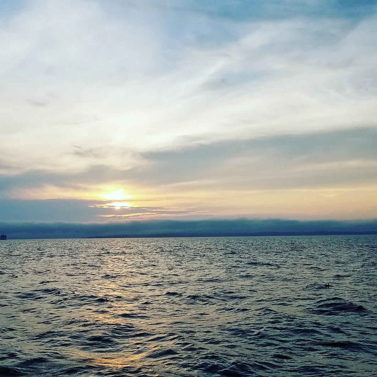 reefdaarab's tweet photo. Nothing like a sunset sail https://t.co/0RkQK6Co8U