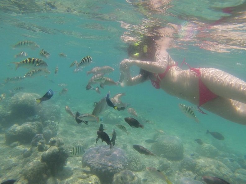 PanoramaTours18's tweet photo. Gili Nanggu Island #snorkeling #Snorkelingtrip #Tripfun #Beach #Beachlife #Panorama #Tours #travel #traveling #travelingram #travelinggirl #tripgril
https://t.co/tsXcm6wkGs https://t.co/DOKCfc6HCp