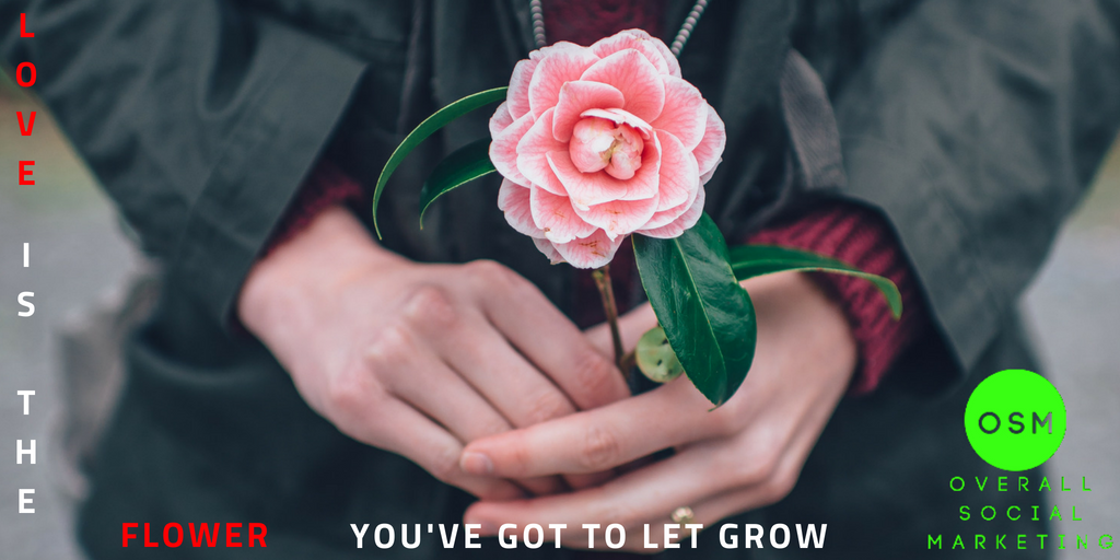 overall_social's tweet photo. Is that love ?
#socialmediaposts
#socialmediamotivation
#socialmediabusiness
#onlineinfo #onlineposts
#onlineinstagramposts
#onlineadvertising
#facebookmanager #facebookinfo
#facebookfunpage
#overallsocialmarketing #OSM https://t.co/d8QExRVkwq