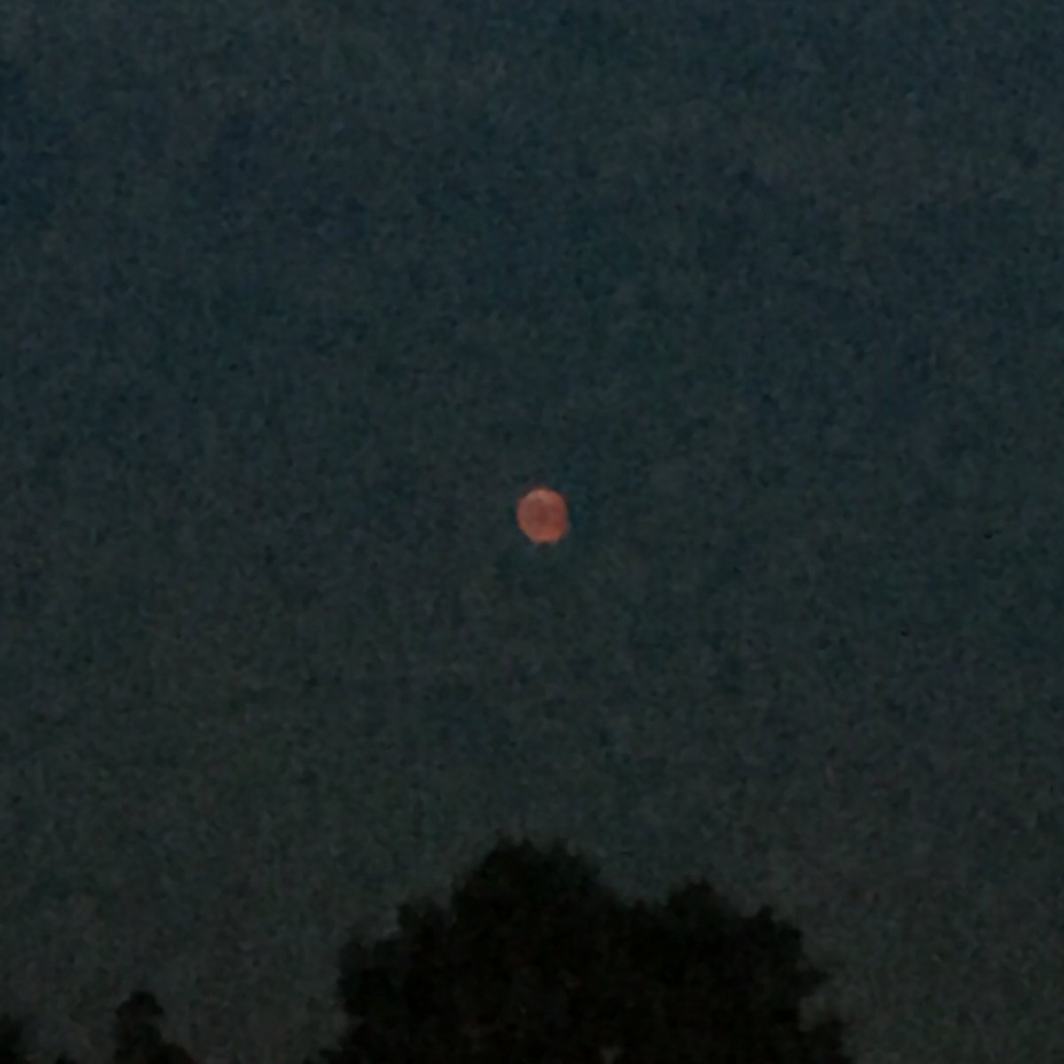 Ben ik ook eens een keer degene met #geluk #Bloedmaan #demaanisrond #vandaagisrood #Buurmalsen