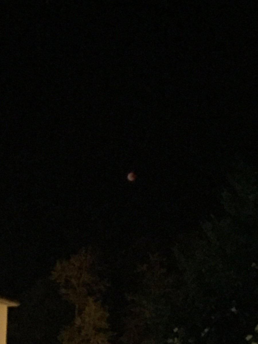 DimitriTilloi's tweet photo. Enfin un bout d’éclipse ! Maintenant place aux nuages de sauterelles, aux épidémies pestilentielles et aux fleuves de sang #augures #omina #Helios_Selene https://t.co/1R8FFs90GF
