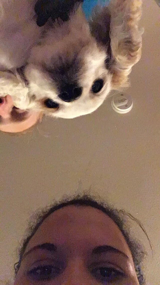 Here’s some cute pics of Lola ❤️ it’s her birthday so everyone better be nice to her