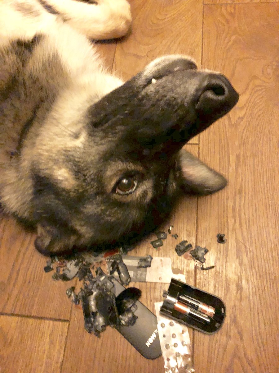 Hey <a href="/NOWTV/">NOWTV</a> your remotes are too tasty. How do I get another one?